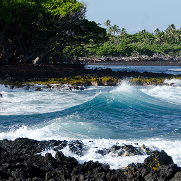 ハワイの砂 fbicon-special286.jpg